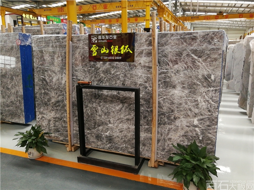 雪山银狐